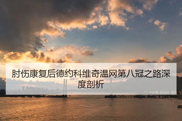 肘伤康复后德约科维奇温网第八冠之路深度剖析